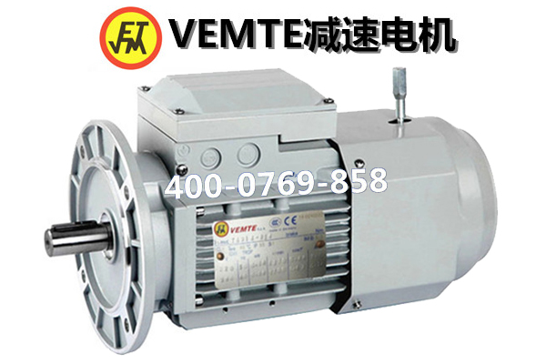 制動(dòng)電機(jī) 制動(dòng)電機(jī)