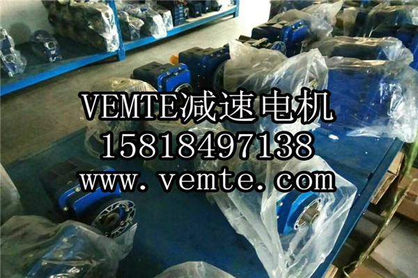 VEMT減速機(jī)電機(jī)制造廠(chǎng)家 (9)